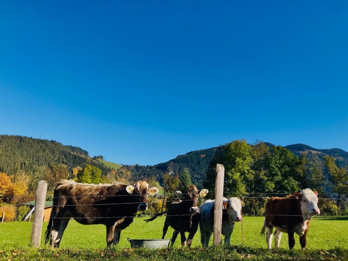 Ferienhof Nasnergut Radstadt Εξωτερικό φωτογραφία